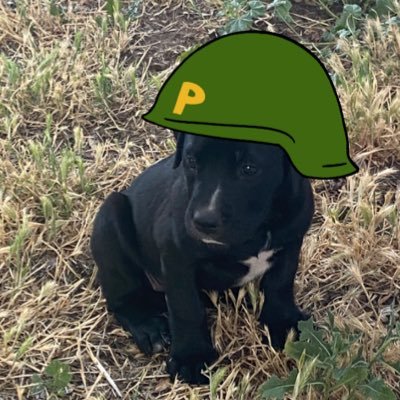 dougdecamp's profile picture. 