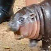 Itsgeraldmarie's profile picture. 🇨🇦/🇵🇭|
Yeah, it's me | 24/7 fangirl |
she/her