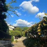 ジョニー (@mr_johnny14) Twitter profile photo