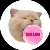 おからちゃん (@13cham_s) 's Twitter Profile