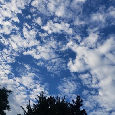 akarinoemu's profile picture. 無宗教の陰謀論者。アメリカの札に△👁️が印刷されてる『現実』を【陰謀論】だと言うならば。ピラミッドってエジプトだよね？何故ドル紙幣に印刷したの？🍕ゲート事件/ホツマツタヱ。腦ではなく心で考えよう。