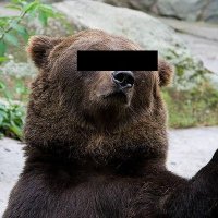 ばんぶーべいびーべあー (@bamboobabybear) 's Twitter Profile