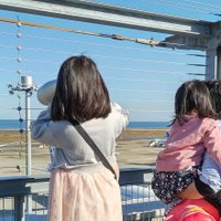 さちか🎗 (@jg_mq) 's Twitter Profile