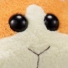 Jin87337455's profile picture. 