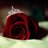 a86a's profile image