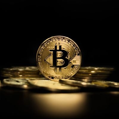 crypto13588's profile picture. I help you becom millionaire with cryptocurrencies.