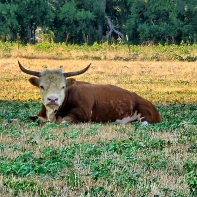 RW8222930171471's profile picture. 