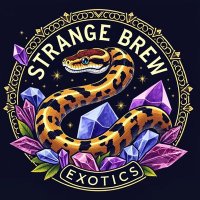 Strange Brew Exotics (@zedballz_andrea) 's Twitter Profile