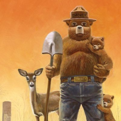 cryptotunnybear's profile picture. 
