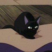 oneiron_aut's profile picture. 📕