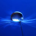 Janice Vinson - @jvinson9999 - Twitter