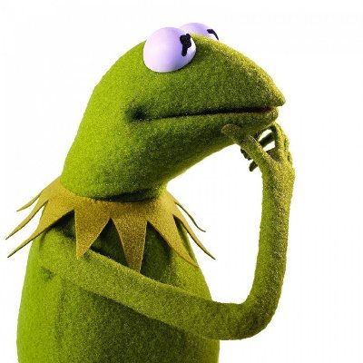 writer, scientist, anti-fascist
member of the Green Party,
tweets in 🇩🇪 🇬🇧 🇬🇷
(header photo: Tim Allrich, Kermit by J.Henson)
