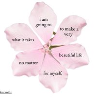 수야 ♡︎ 🦋ily (@tishasouffle) 's Twitter Profile