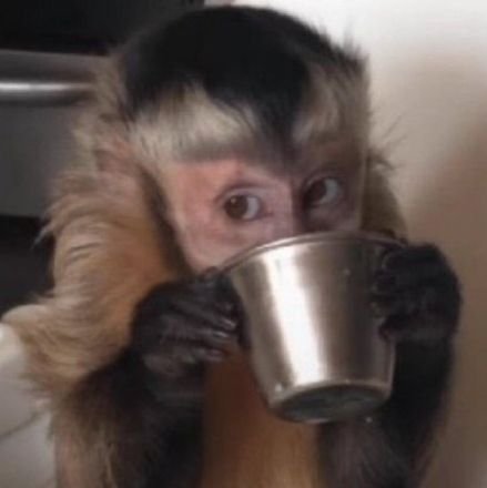 lrislst's profile picture. 