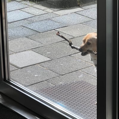himana_himena's profile picture. 