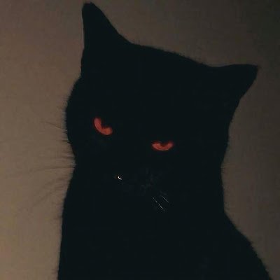 Skeeallx's profile picture. Solo Video Game Developer
