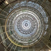 Suzanne (@mrssuzc) 's Twitter Profile