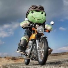 acha_821's profile picture. バスケ、風車、海月、数学、ときどき単車。