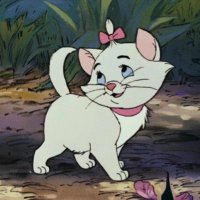 Hani Do🧁 (@do_hani101) 's Twitter Profile