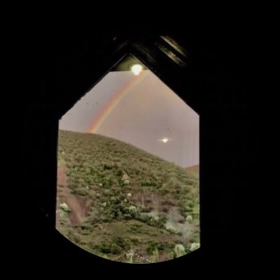 urkillinmyvibe's profile picture. but westward, look, the land is bright #freepalestine