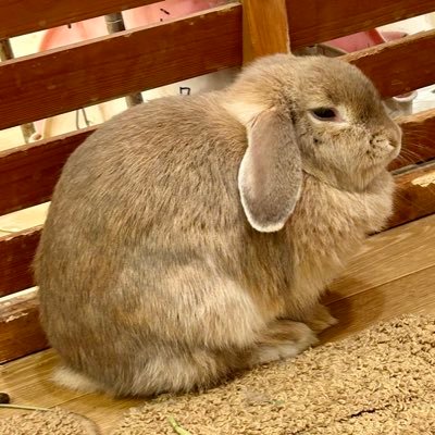 Yさんのプロフィール画像