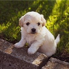 yaeko1127041's profile picture. 副業の成功法を紹介中。副業を始めたい人に役立つ情報を発信。ほんの僅かですが現金給付企画もしております★ 支援中⇒ https://t.co/PttMG6dtwq