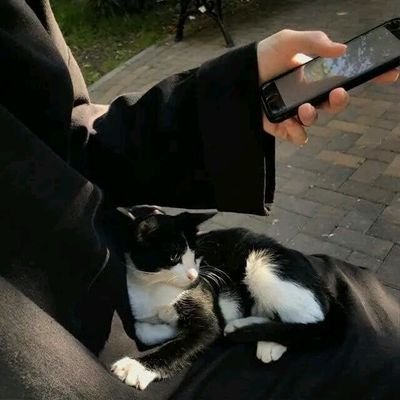 AfghanJami99716's profile picture. حجاب دهرې پتمنې خور زینت دی