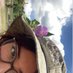 vico 𓆑 (@vicovalle_) Twitter profile photo vico 𓆑 (@vicovalle_) Twitter profile photo