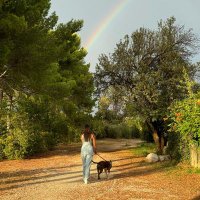 Skyyrie (@skyyrie_) 's Twitter Profile