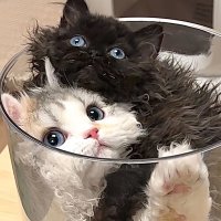 Behappyeveryday (@sakisakitt) 's Twitter Profile Photo Behappyeveryday (@sakisakitt) 's Twitter Profile Photo