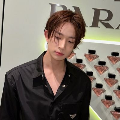 mirnister's profile picture. 