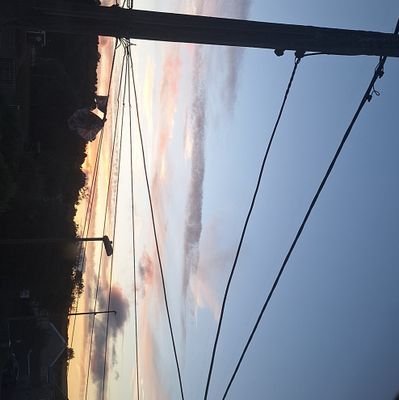 Brianisimsp24's profile picture. 