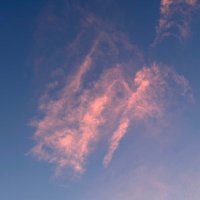 🫧ちび🐮😸 (@chibi_xxx_0122) 's Twitter Profile Photo