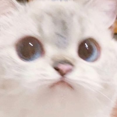 luoyivuitton's profile picture. 