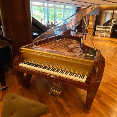 t2pochipochi's profile picture. 小室哲哉氏(TM NETWORK)を知りシンセの道へ。
その過程で教授(故・坂本龍一氏)も知り、未だこの御二方を尊敬する只の人です(笑)😅
後、カクヨムの恋愛小説等も好んで…と(笑)😁💦
こんな変人ですがどうぞ良しなに～
◇ヘッダー 【Opera Piano】 アイコン【EXPO Piano】(共に当方撮影)🙇