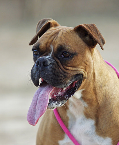 AMartinezcano's profile picture. 