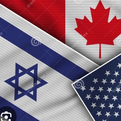 judeangeneral2's profile picture. M&A/Forensics/Strategy 💙🇮🇱 ❤️🇺🇸 💙🚁