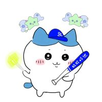 Malang (@mmalang_) 's Twitter Profile Photo