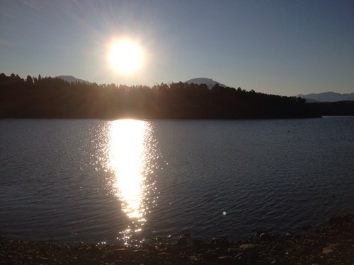 arnelid's profile picture. 