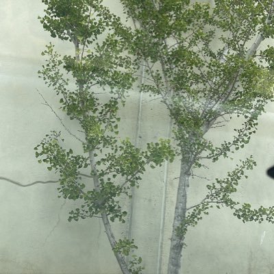 Treborn822's profile picture. 