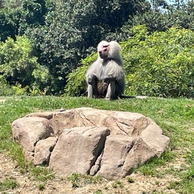 Artimus48992738's profile picture. 