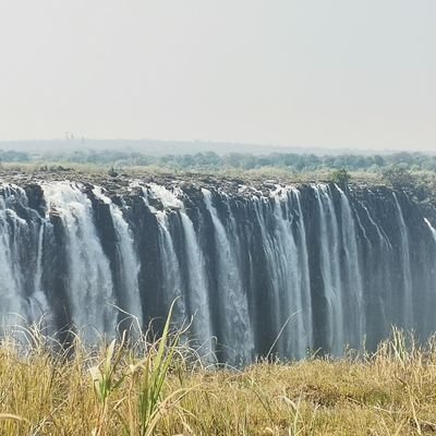 PreMahlangu's profile picture. 