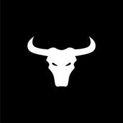 BullRicMTY's profile picture. Single Corneador de Monterrey