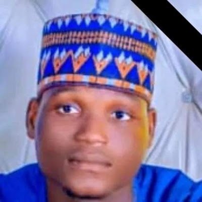 SmartGuy842237's profile picture. kebbi