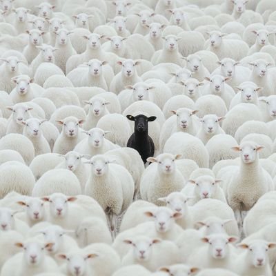 ELLYMANFFL's profile picture. Friendly neighborhood||Eat and Merry 
🥂🖤🇳🇬