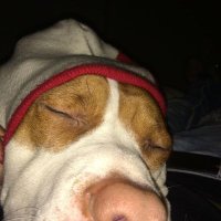michele (@michele45982649) 's Twitter Profile