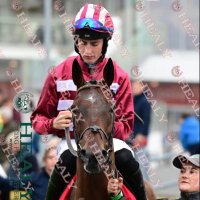 Alex Harvey (@alexharvey2003) 's Twitter Profile