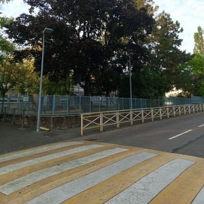 narcinta's profile picture. Psychologist, Public Health and Environmental Management Professional, Lecturer,
Human Rights activist and Social Entrepreneur