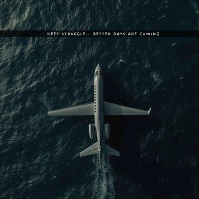 NumberQaidi804's profile picture. 