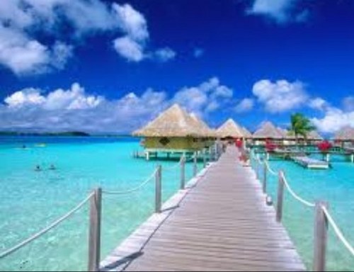 angiearagaki's profile picture. 